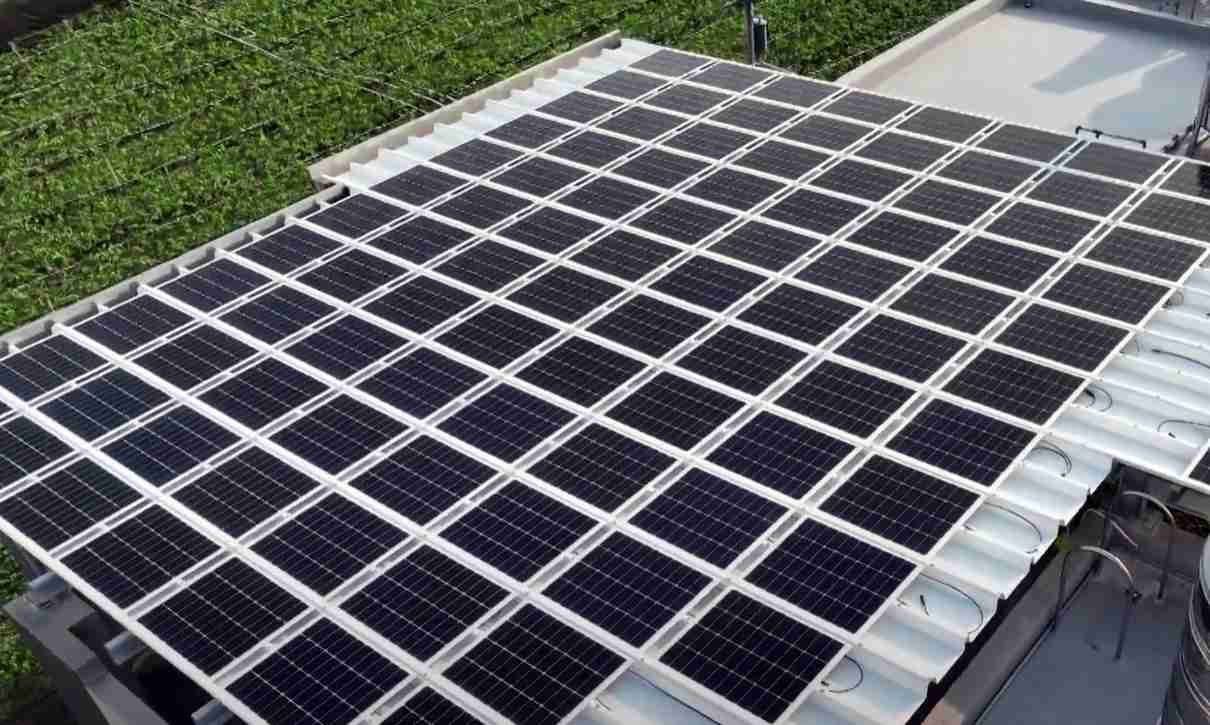 糖果派对SunSteel光电浪板升级双玻结构，，，，以提升机械负载强度及气候耐候度，，，可广泛运用于多元场域